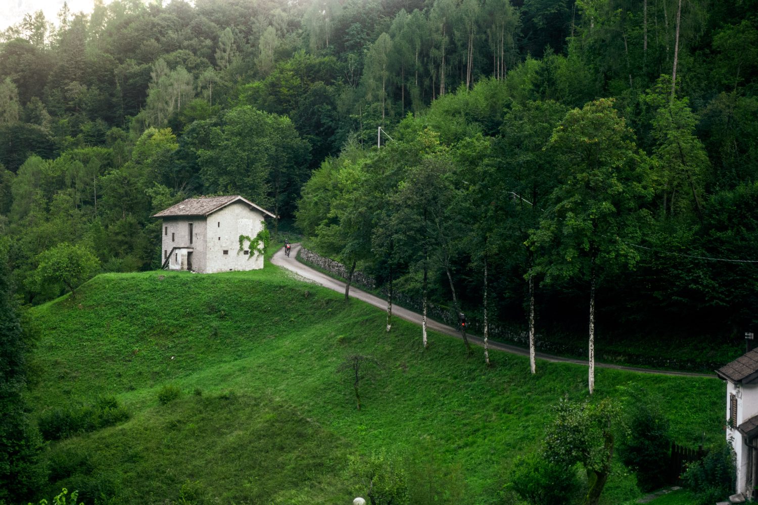 Rodeo Italy Summer Camp 2025