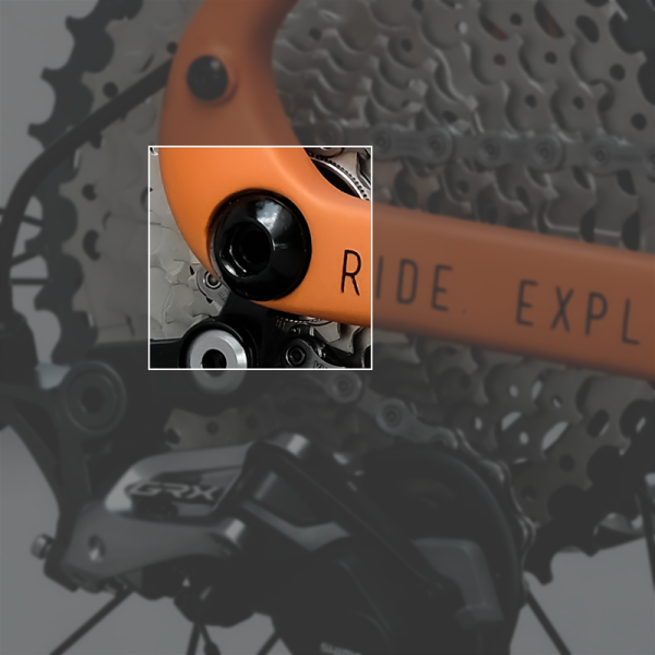 Traildonkey 3 derailleur hanger Bolt