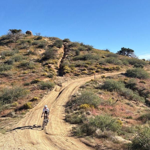 The Rodeo Sonoran Migration: Feb 6-8 