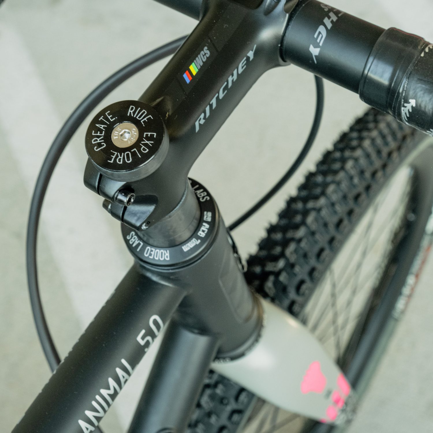 Flaanimal 5.0 // 58cm // Ekar // Palm Beach Punk - Image 18