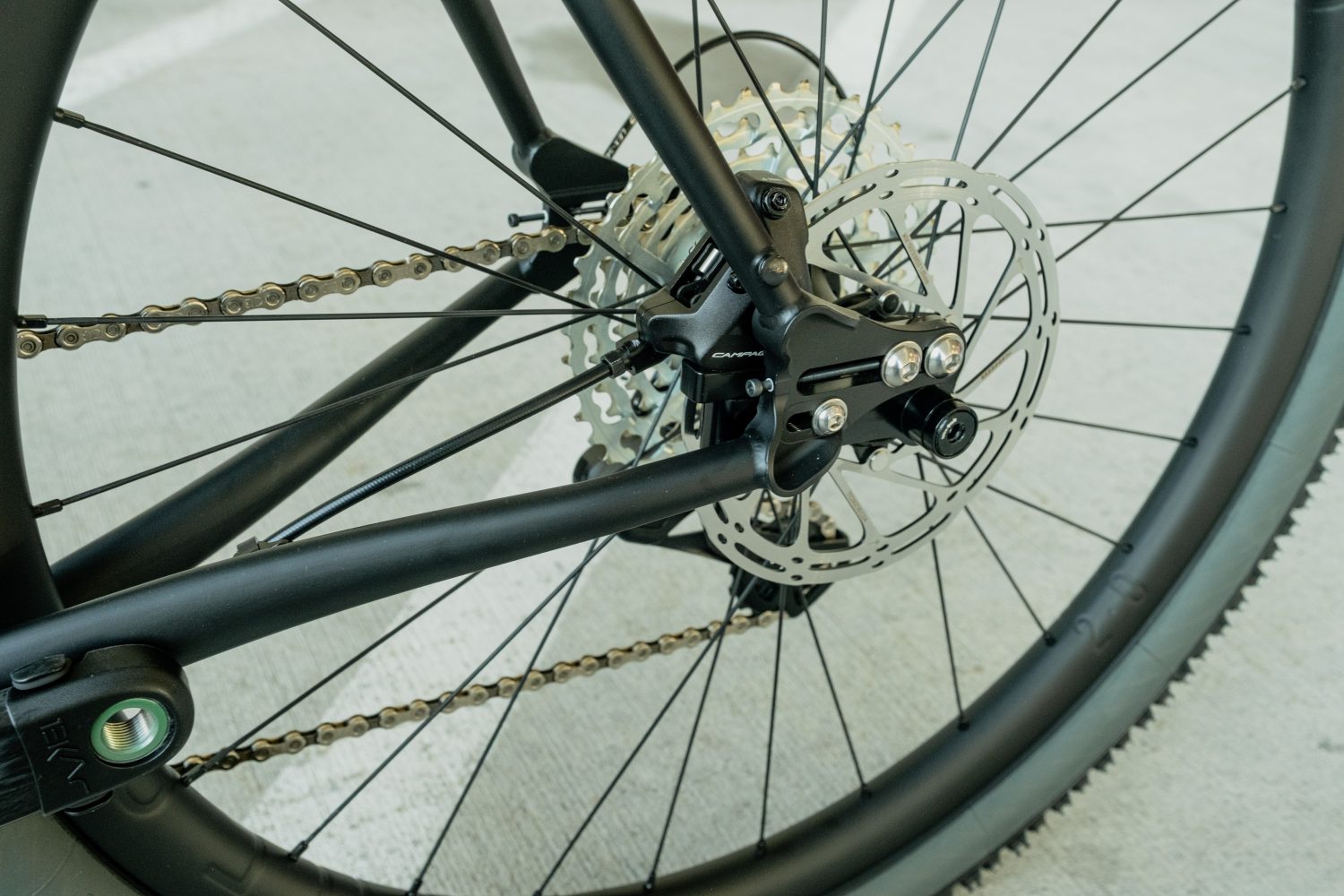 Flaanimal 5.0 // 58cm // Ekar // Palm Beach Punk - Image 15